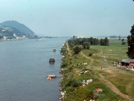 Donauinsel - Natur und Erholung nach Bauphase